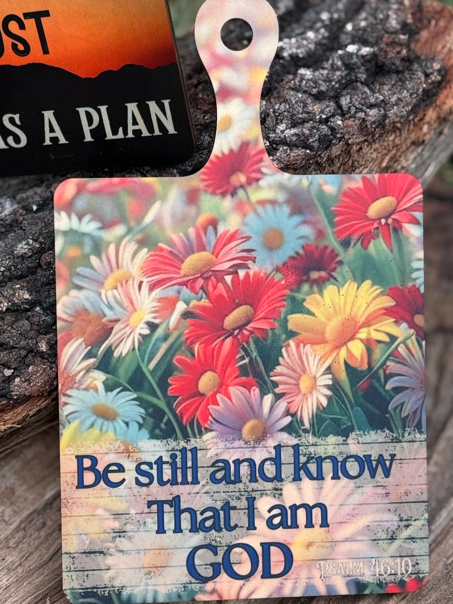 Praise Themed Decorative Plaques