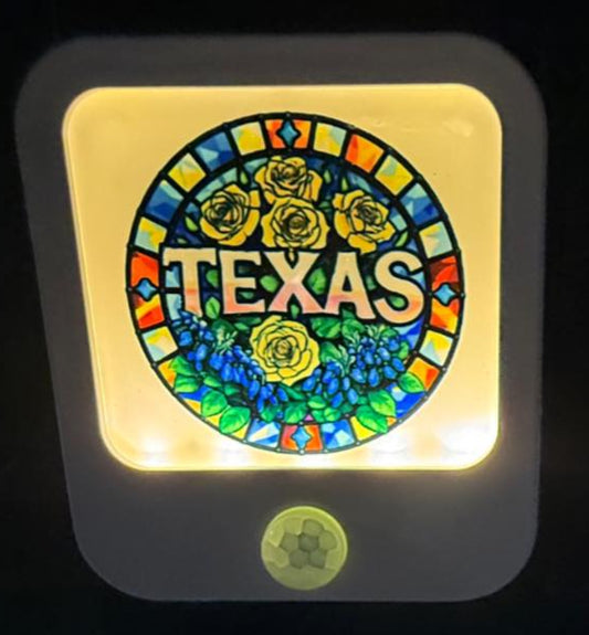 Motion Sensor Night Light